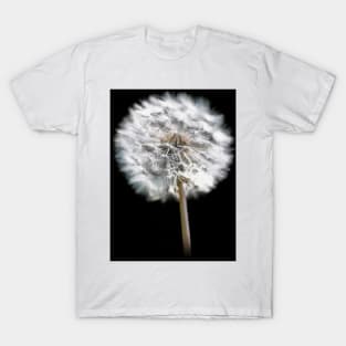 Dandelion Seed Head T-Shirt